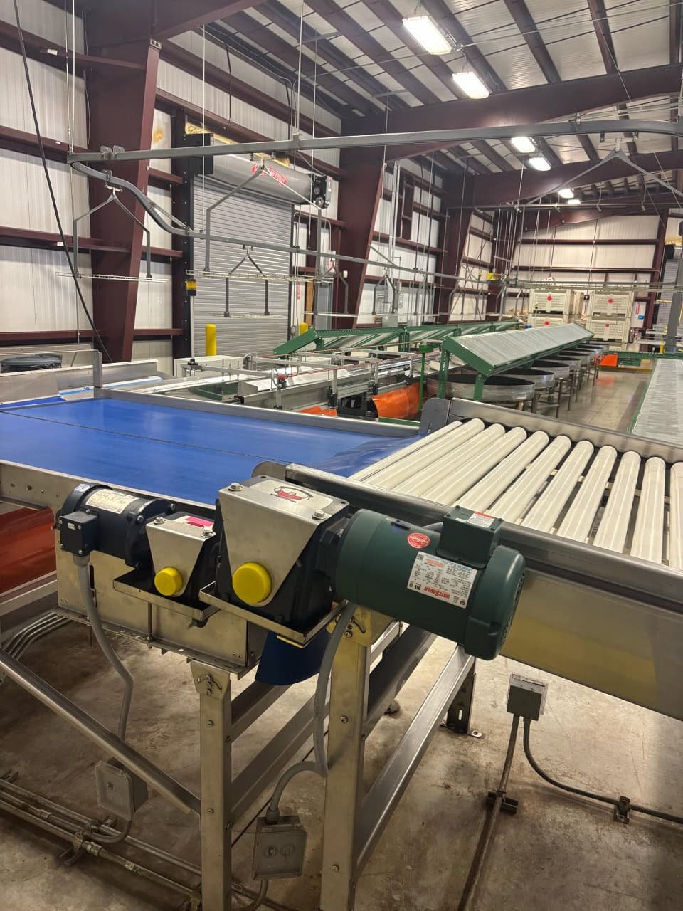 Automated Fruit Packing Line – Durand-Wayland + Elisam – Bin Tipper, Sizer, Optical Sorter – 2021 - Image 11