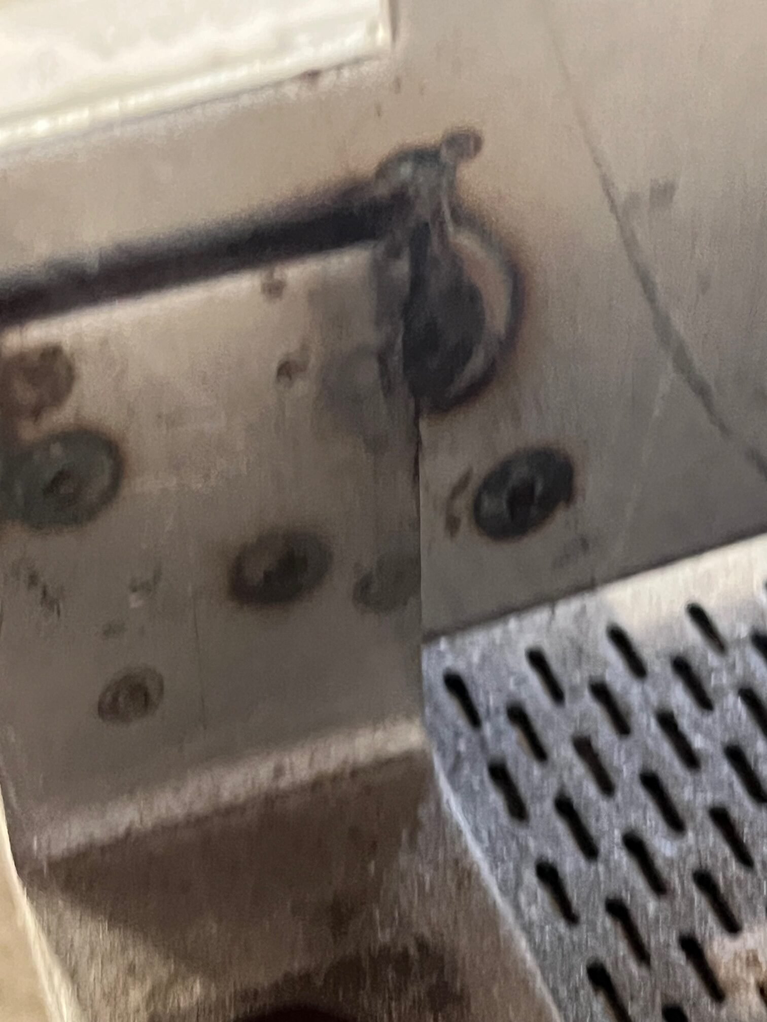 Aeroglide Propane Roaster Dryer – C1-120-29-RGC – Refurbished 2022 – Nut/Snack Processing System - Image 14