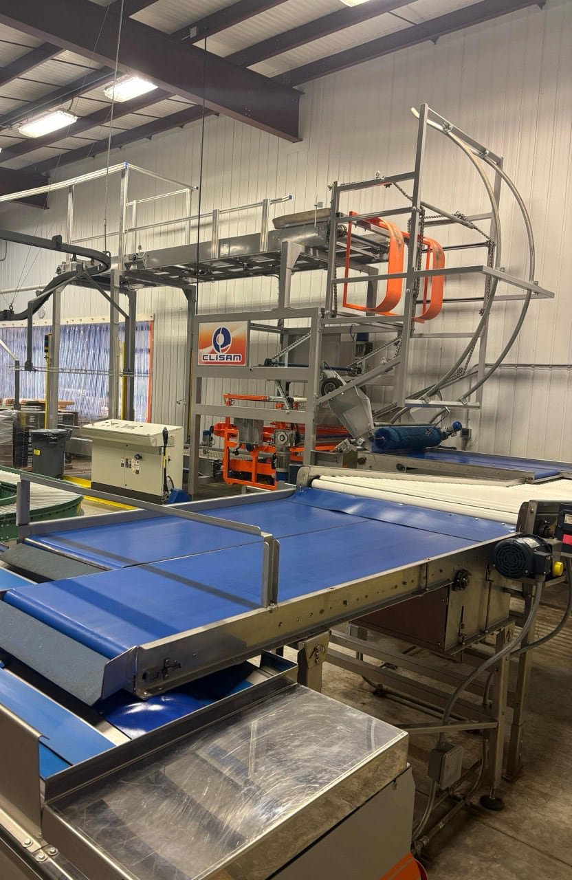 Automated Fruit Packing Line – Durand-Wayland + Elisam – Bin Tipper, Sizer, Optical Sorter – 2021 - Image 2