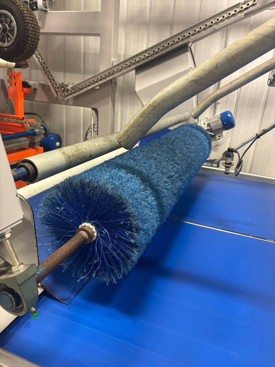 Automated Fruit Packing Line – Durand-Wayland + Elisam – Bin Tipper, Sizer, Optical Sorter – 2021 - Image 5